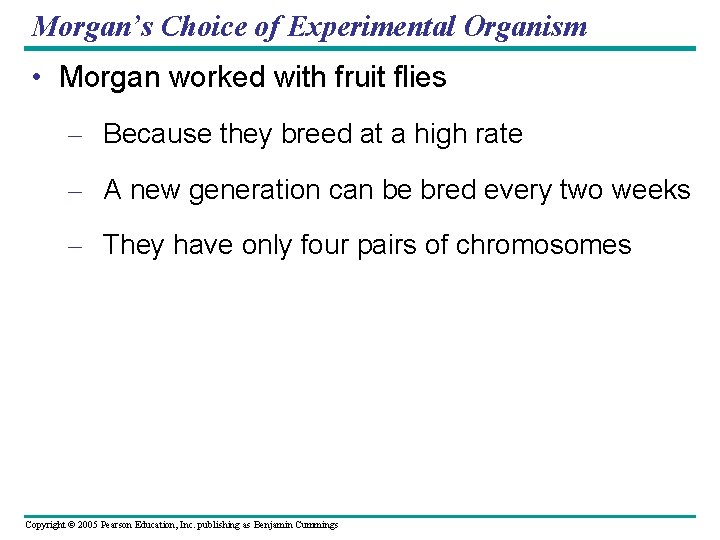 Morgan’s Choice of Experimental Organism • Morgan worked with fruit flies – Because they