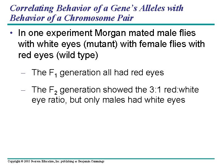 Correlating Behavior of a Gene’s Alleles with Behavior of a Chromosome Pair • In