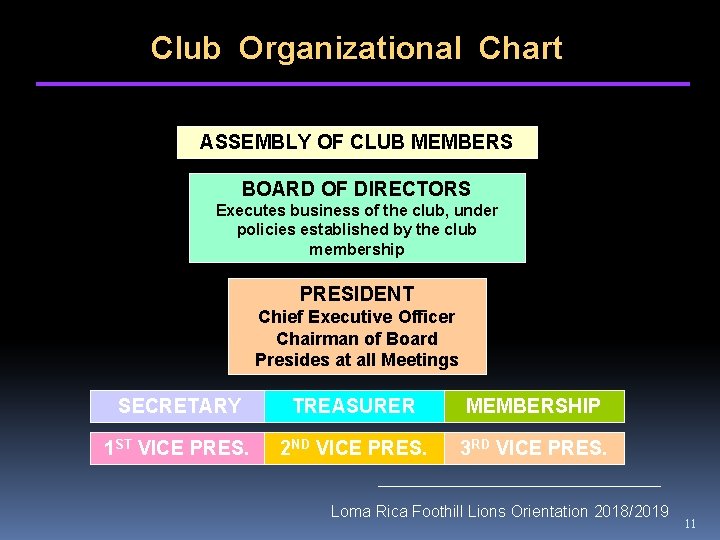 Club Organizational Chart ASSEMBLY OF CLUB MEMBERS BOARD OF DIRECTORS Executes business of the