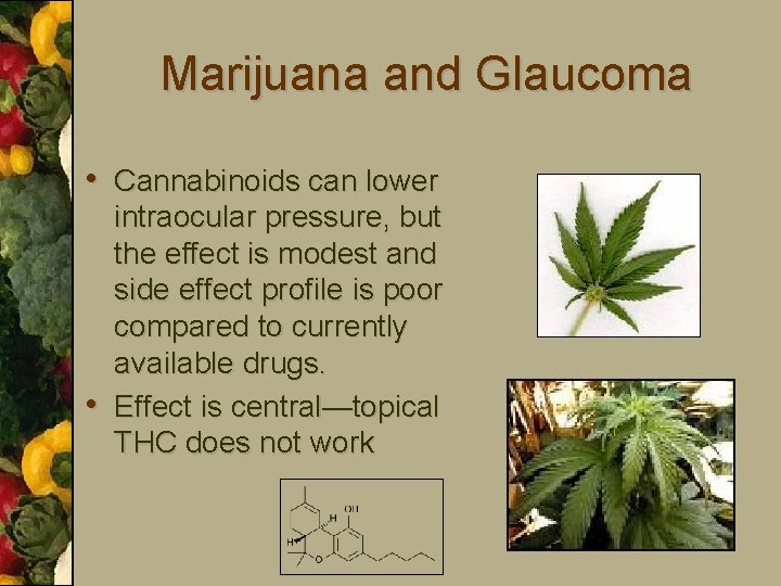 Marijuana and Glaucoma • Cannabinoids can lower • intraocular pressure, but the effect is
