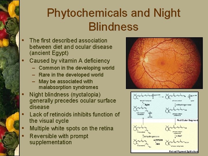 Phytochemicals and Night Blindness • The first described association • between diet and ocular