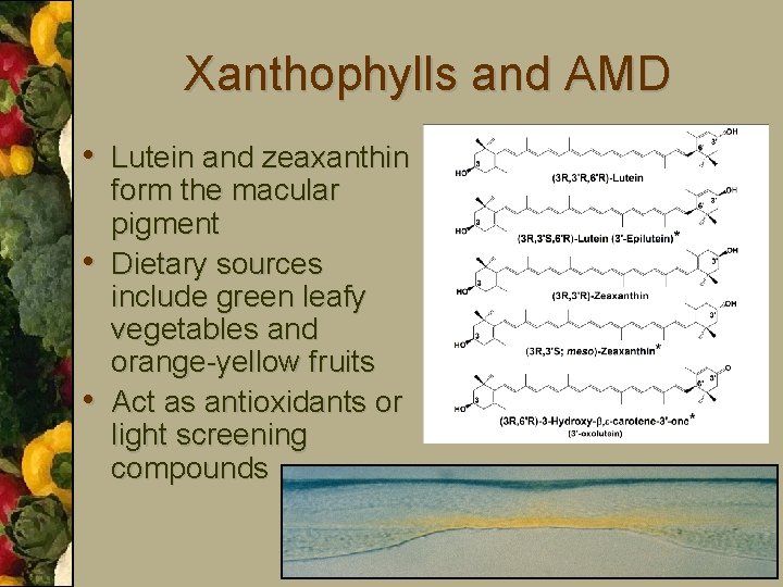 Xanthophylls and AMD • Lutein and zeaxanthin • • form the macular pigment Dietary