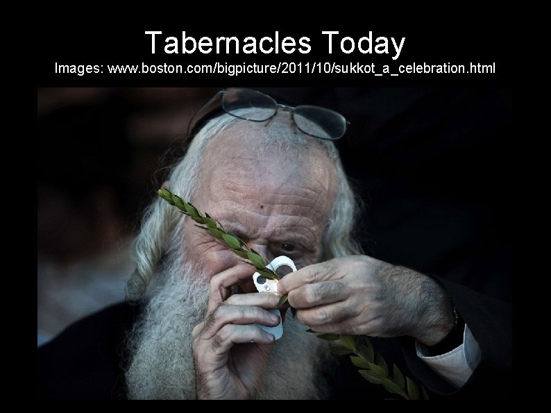 Tabernacles Today Images: www. boston. com/bigpicture/2011/10/sukkot_a_celebration. html 
