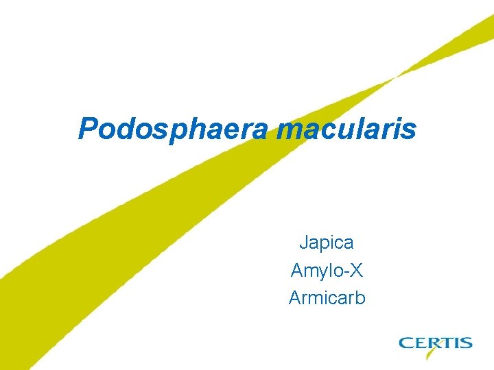 Podosphaera macularis Japica Amylo-X Armicarb 