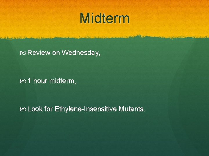 Midterm Review on Wednesday, 1 hour midterm, Look for Ethylene-Insensitive Mutants. 