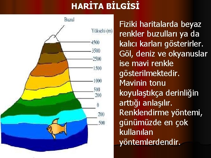 HARİTA BİLGİSİ Fiziki haritalarda beyaz renkler buzulları ya da kalıcı karları gösterirler. Göl, deniz