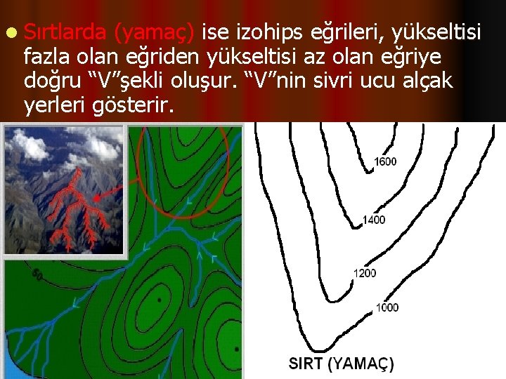 l Sırtlarda (yamaç) ise izohips eğrileri, yükseltisi fazla olan eğriden yükseltisi az olan eğriye