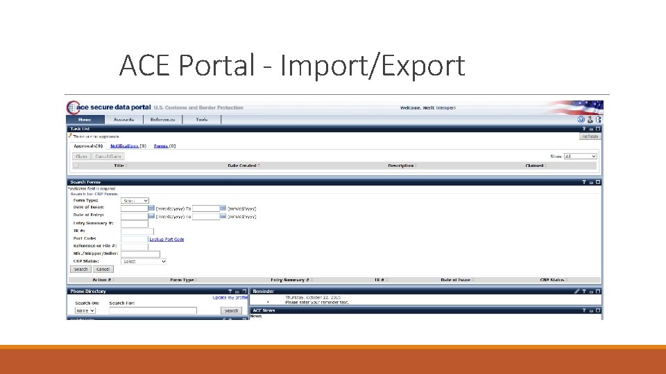 ACE Portal - Import/Export 