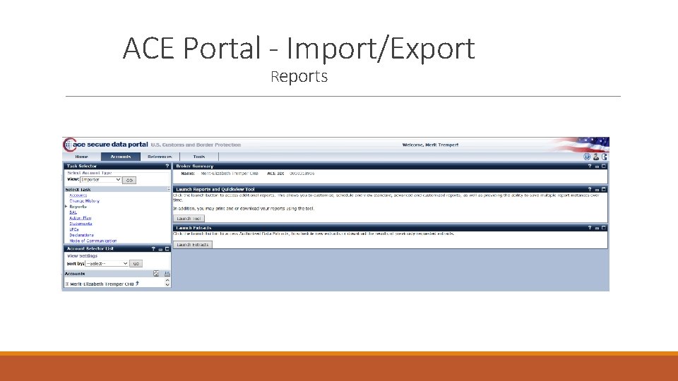 ACE Portal - Import/Export Reports 