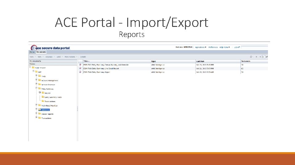 ACE Portal - Import/Export Reports 