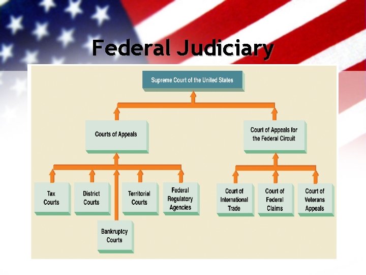 Federal Judiciary 