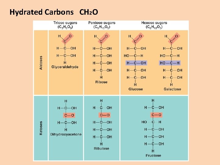 Hydrated Carbons CH 2 O 