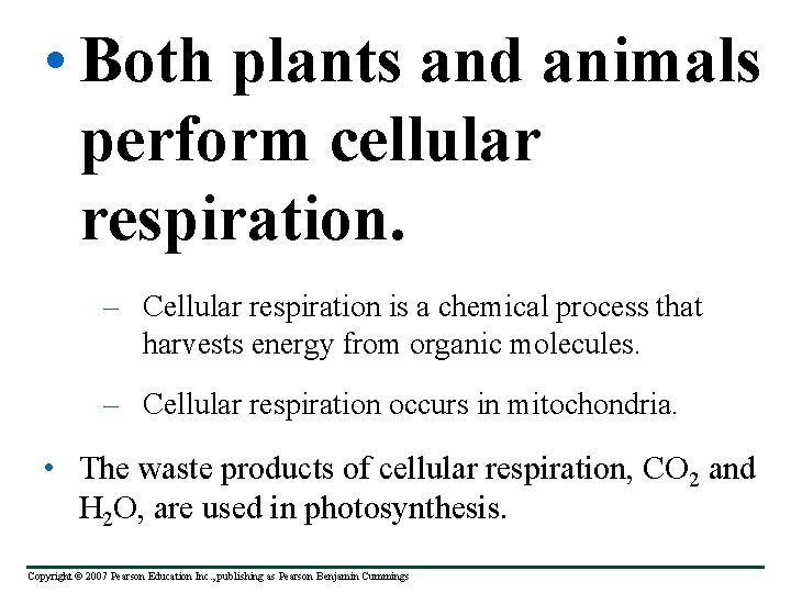  • Both plants and animals perform cellular respiration. – Cellular respiration is a