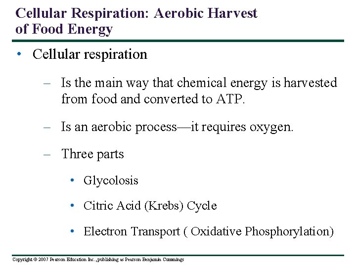 Cellular Respiration: Aerobic Harvest of Food Energy • Cellular respiration – Is the main