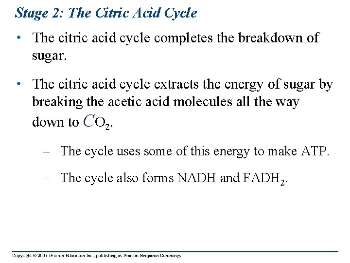 Stage 2: The Citric Acid Cycle • The citric acid cycle completes the breakdown