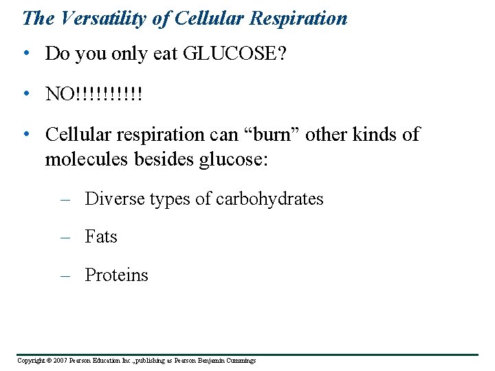 The Versatility of Cellular Respiration • Do you only eat GLUCOSE? • NO!!!!! •