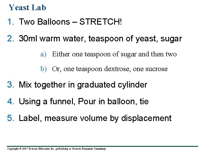 Yeast Lab 1. Two Balloons – STRETCH! 2. 30 ml warm water, teaspoon of