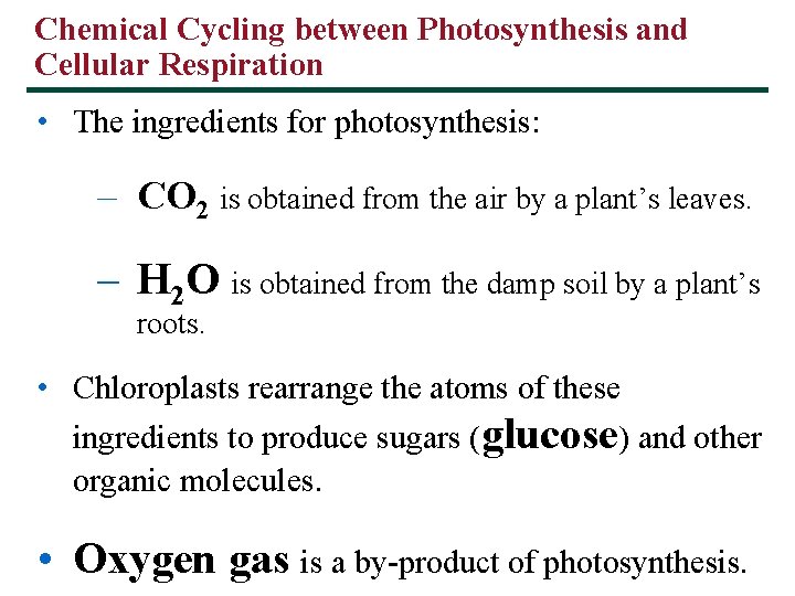 Chemical Cycling between Photosynthesis and Cellular Respiration • The ingredients for photosynthesis: – CO