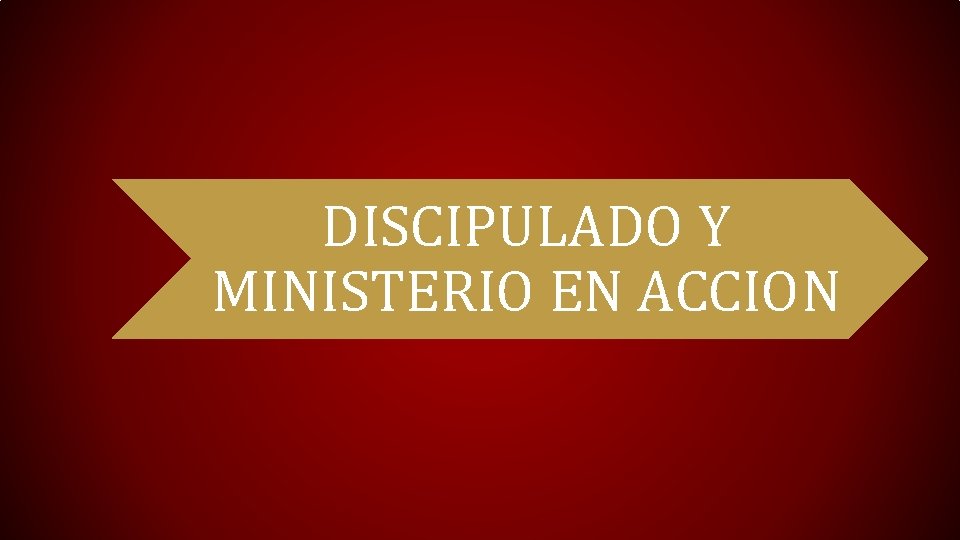 DISCIPULADO Y MINISTERIO EN ACCION 