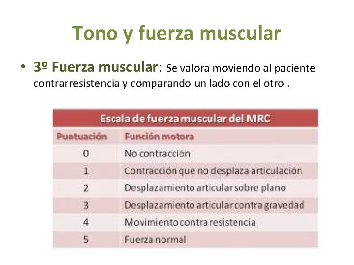 Tono y fuerza muscular • 3º Fuerza muscular: Se valora moviendo al paciente contrarresistencia