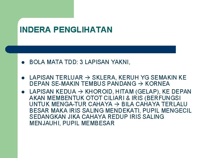 INDERA PENGLIHATAN l BOLA MATA TDD: 3 LAPISAN YAKNI, l LAPISAN TERLUAR SKLERA, KERUH
