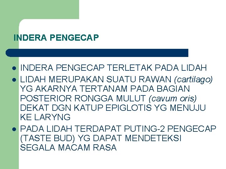 INDERA PENGECAP l l l INDERA PENGECAP TERLETAK PADA LIDAH MERUPAKAN SUATU RAWAN (cartilago)