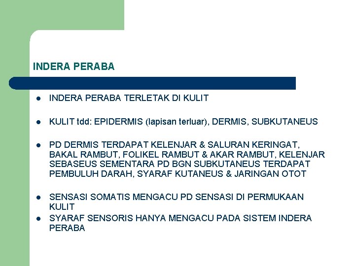 INDERA PERABA l INDERA PERABA TERLETAK DI KULIT l KULIT tdd: EPIDERMIS (lapisan terluar),