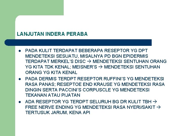 LANJUTAN INDERA PERABA l l l PADA KULIT TERDAPAT BEBERAPA RESEPTOR YG DPT MENDETEKSI