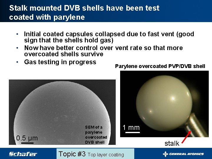 Stalk mounted DVB shells have been test coated with parylene • Initial coated capsules