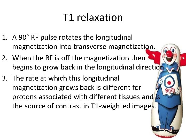 T 1 relaxation 1. A 90° RF pulse rotates the longitudinal magnetization into transverse