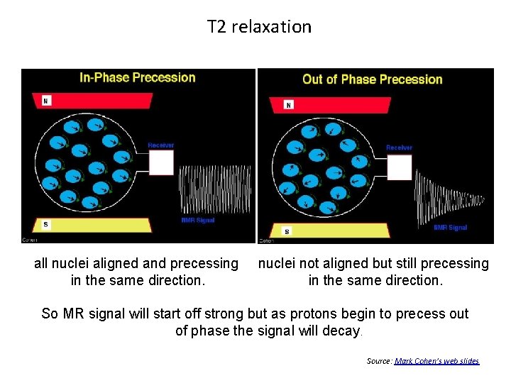 T 2 relaxation all nuclei aligned and precessing in the same direction. nuclei not