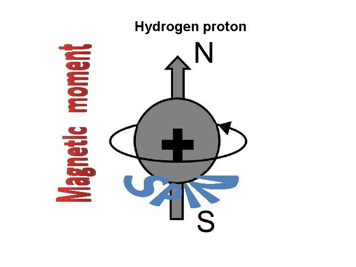 Hydrogen proton 