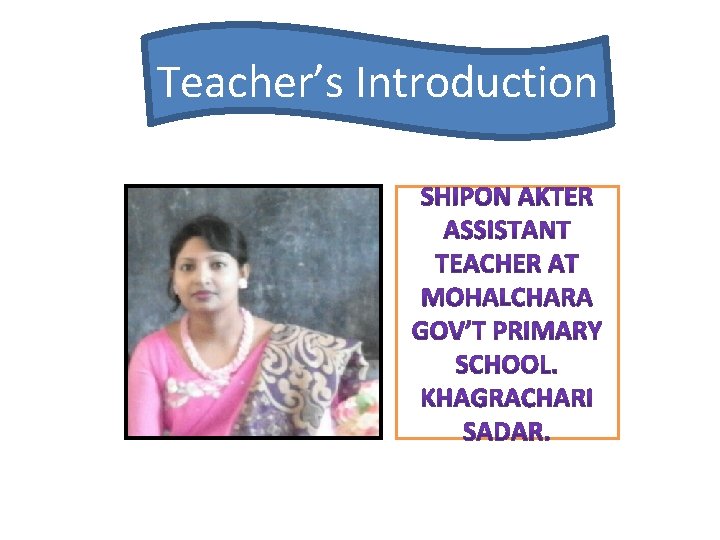 Teacher’s Introduction 