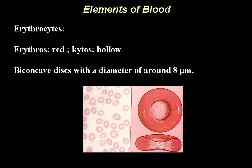 Elements of Blood Erythrocytes: Erythros: red ; kytos: hollow Biconcave discs with a diameter