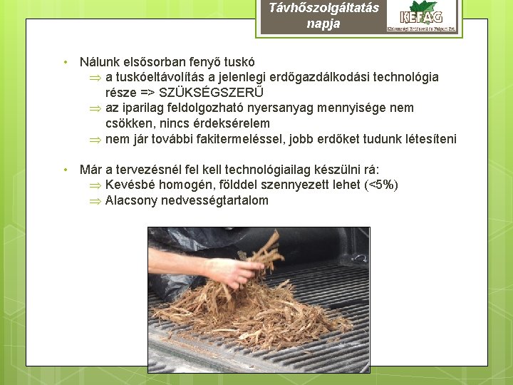 Távhőszolgáltatás napja • Nálunk elsősorban fenyő tuskó Þ a tuskóeltávolítás a jelenlegi erdőgazdálkodási technológia