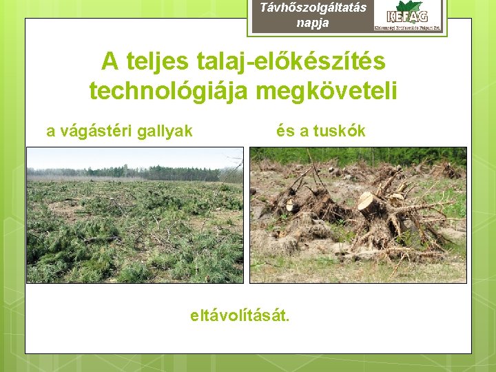 Távhőszolgáltatás napja A teljes talaj-előkészítés technológiája megköveteli a vágástéri gallyak és a tuskók eltávolítását.