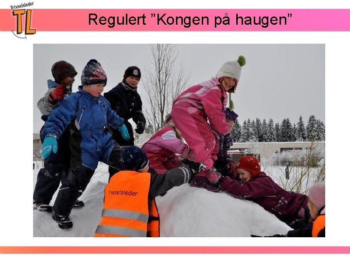 Regulert ”Kongen på haugen” 