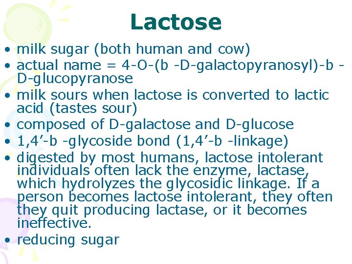 Lactose • milk sugar (both human and cow) • actual name = 4 -O-(b