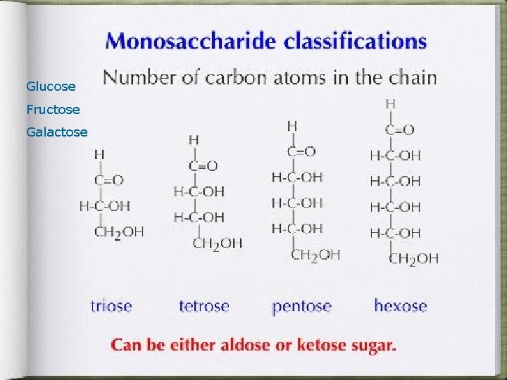 Glucose Fructose Galactose 