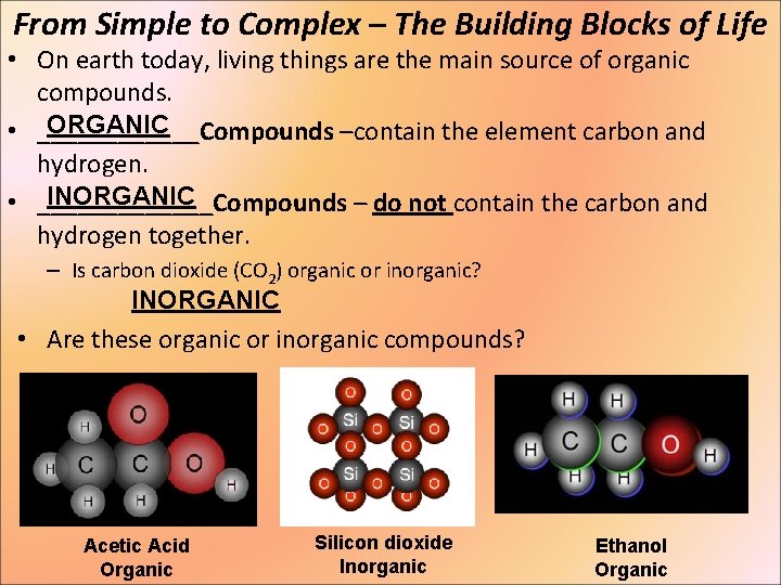 From Simple to Complex – The Building Blocks of Life • On earth today,