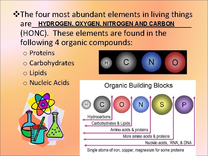 v. The four most abundant elements in living things HYDROGEN, OXYGEN, NITROGEN AND CARBON