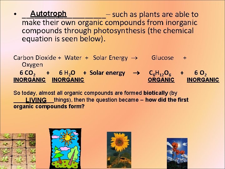 Autotroph • __________– such as plants are able to make their own organic compounds