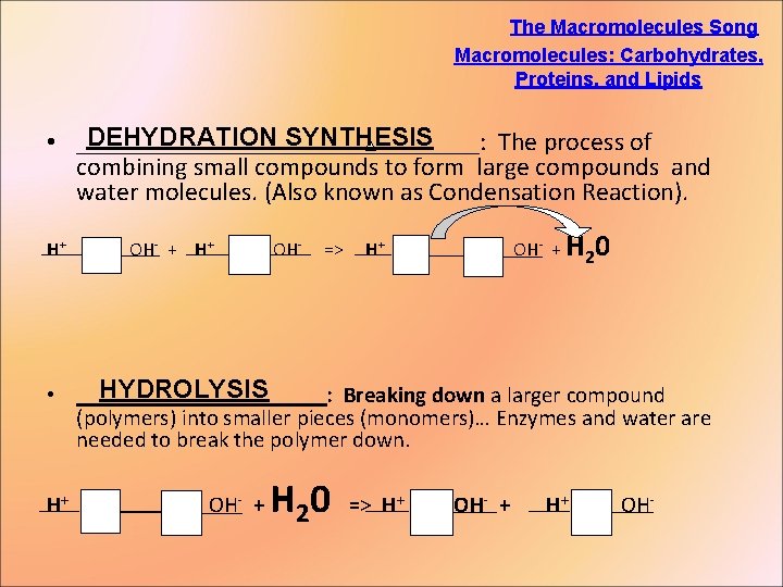 The Macromolecules Song Macromolecules: Carbohydrates, Proteins, and Lipids DEHYDRATION SYNTHESIS • ________________: The process