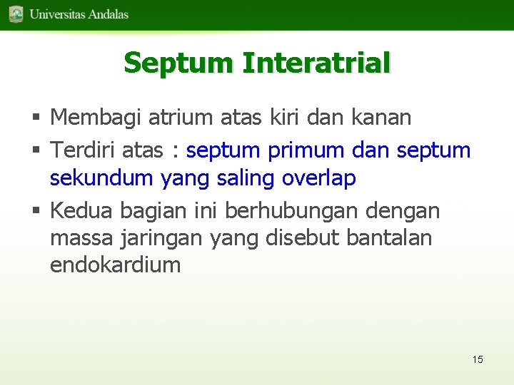 Septum Interatrial § Membagi atrium atas kiri dan kanan § Terdiri atas : septum