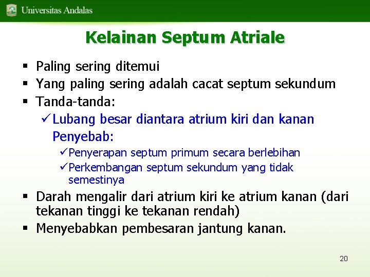 Kelainan Septum Atriale § Paling sering ditemui § Yang paling sering adalah cacat septum