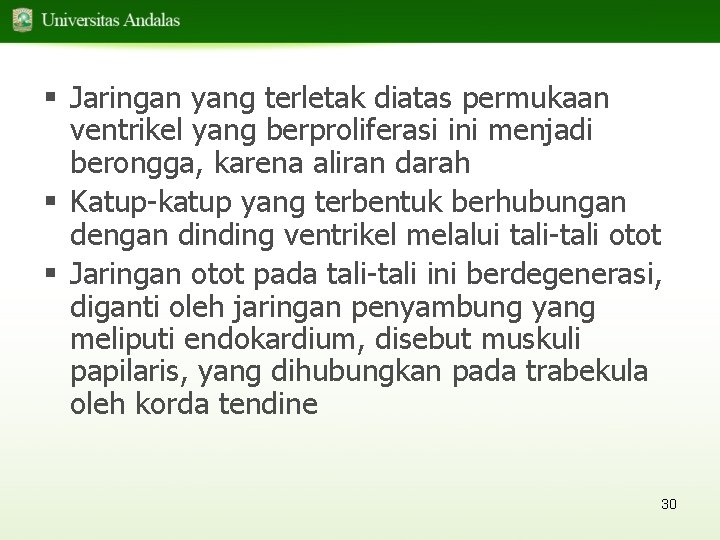 § Jaringan yang terletak diatas permukaan ventrikel yang berproliferasi ini menjadi berongga, karena aliran