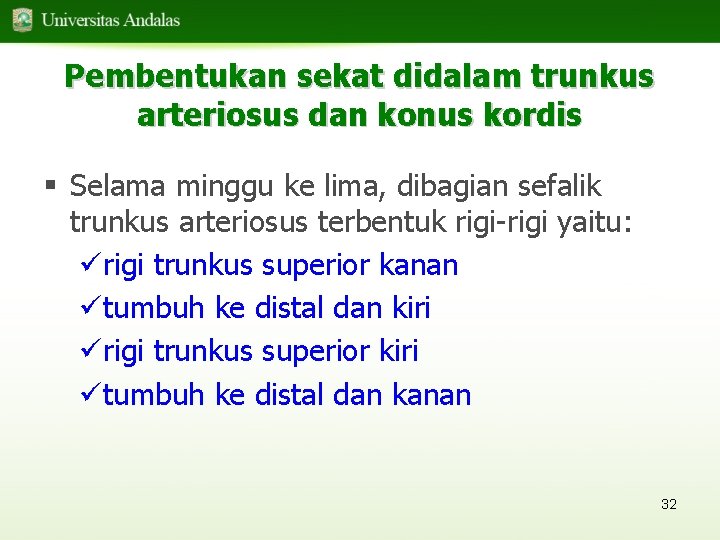 Pembentukan sekat didalam trunkus arteriosus dan konus kordis § Selama minggu ke lima, dibagian