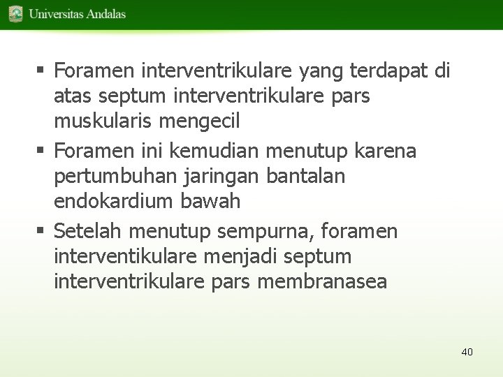 § Foramen interventrikulare yang terdapat di atas septum interventrikulare pars muskularis mengecil § Foramen