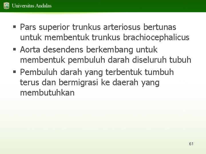 § Pars superior trunkus arteriosus bertunas untuk membentuk trunkus brachiocephalicus § Aorta desendens berkembang