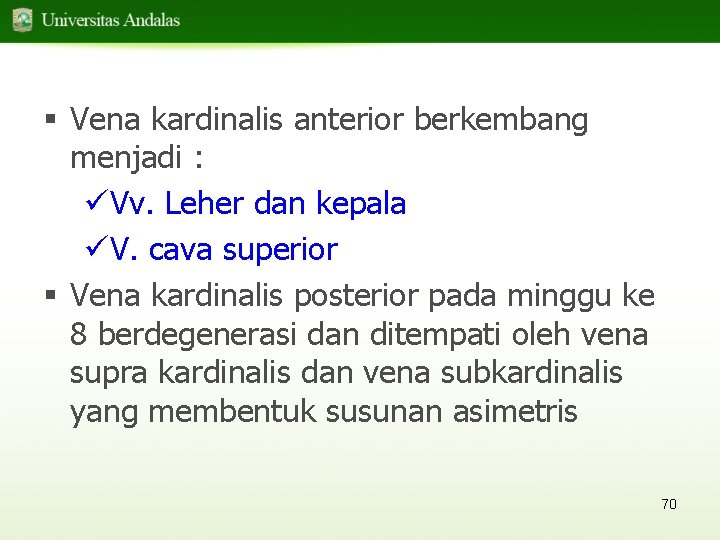 § Vena kardinalis anterior berkembang menjadi : üVv. Leher dan kepala üV. cava superior